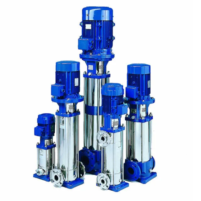 Lowara 1SV Series 304ss Vertical Multistage Pumps (Max 16 LPM)